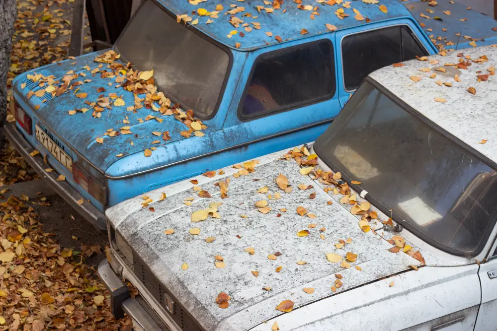 Old cars awaiting scrap metal recycling and removal